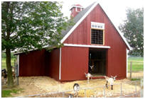 Small Pole-Frame Goat Barn