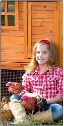 Country Outbuilding Plans and Kits